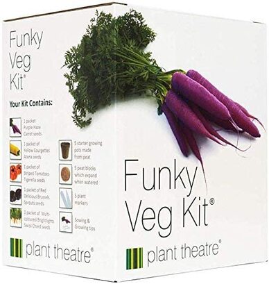 unusual vegetable growing gift box
