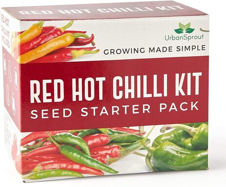 Grow your own hot chilli kit